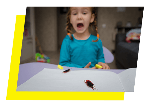 Young girl screaming as two roaches crawl onto her desk in Tallahassee, FL