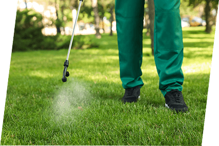 Pest control specialist treating lawn for fleas and ticks in Tallahassee, FL