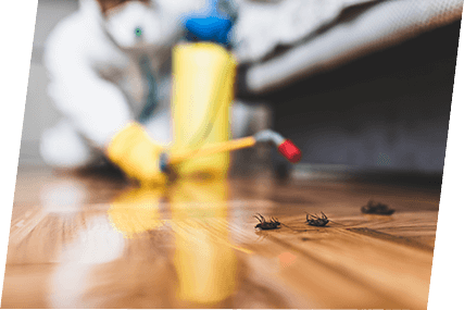 Pest control specialist spraying termites in Tallahassee, FL
