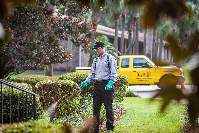 Pest control technician applying pest control treatment to the exterior of a home - Keep pests away from your home with Capelouto Termite & Pest Control in Tallahassee, FL