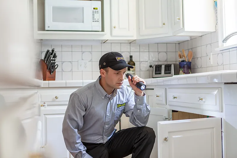 Pest control technician inspecting for pests under a kitchen sink - Keep pests away from your kitchen with Capelouto Termite & Pest Control in Tallahassee, FL