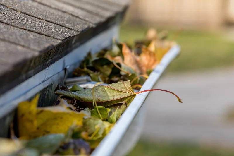 A gutter clogged with leaves before being serviced