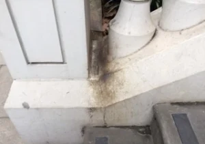 A stair banister crevice covered in grease and dirt from rats in Tallahassee FL