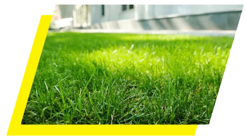 Photo of a residential homes front yard, sporting healthy green grass.